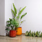 In Walnut Wood and Yellow Ceramic Pearl, a round textured luxury planter made from FRP you can buy online at Sukham Home, a sustainable furniture, gardening and home decor store in Kolkata, India
