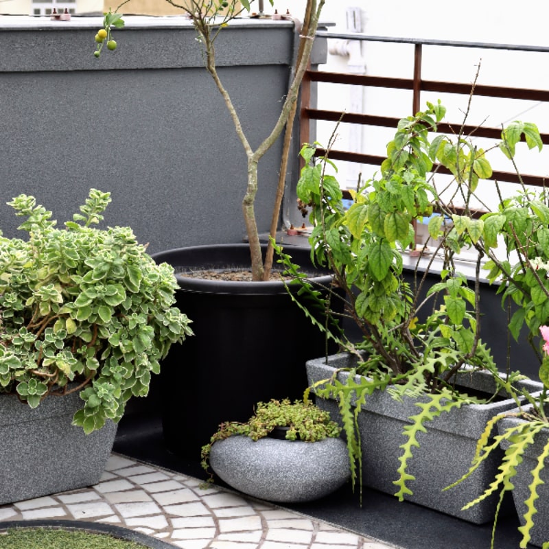 Small Grey Stone Pebble, a rock-shaped stone finish plastic planter that looks like granite available at Sukham Home, a sustainable furniture, gardening and home decor store in Kolkata, India