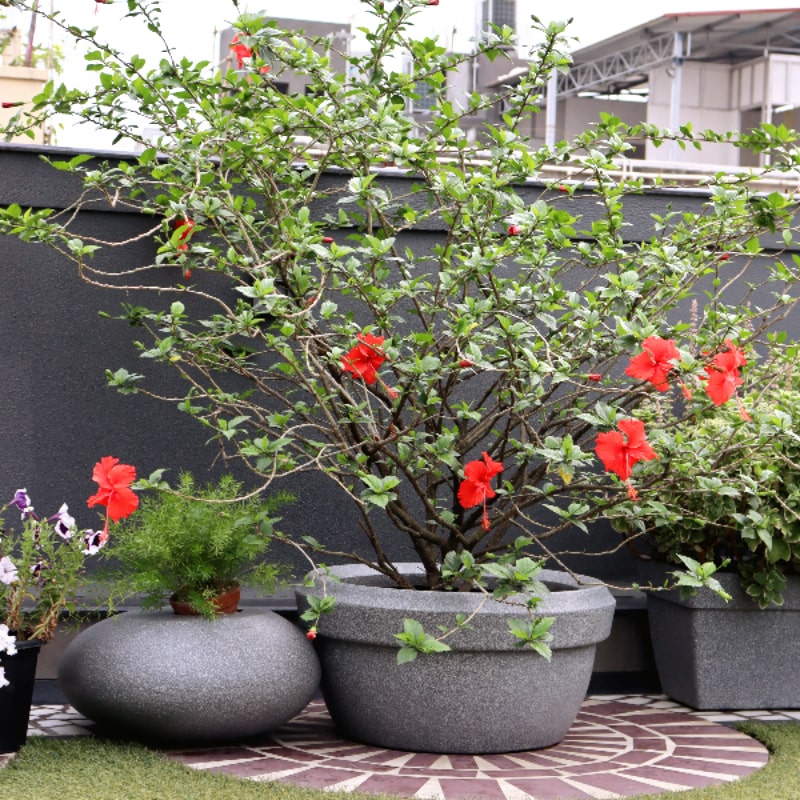 Medium Grey Stone Pebble, a rock-shaped stone finish plastic planter that looks like granite available at Sukham Home, a sustainable furniture, gardening and home decor store in Kolkata, India