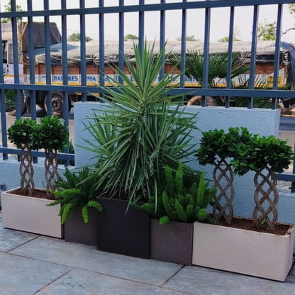 Arranged outdoors, the Cream Stone Quebec Rectangle, a rectangle stone finish plastic planter that looks like granite available at Sukham Home, a sustainable furniture, gardening and home decor store in Kolkata, India