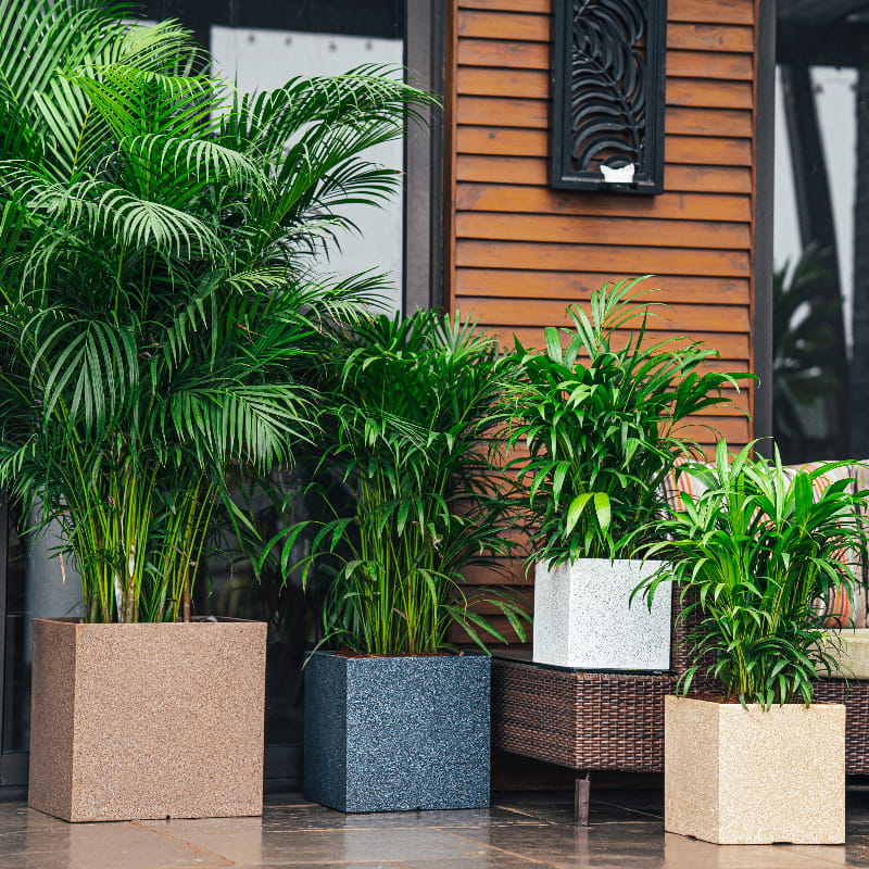 On an outdoor deck, Sand Stone, Grey Stone, White Stone and Cream Stone Quebec Square, a square stone finish plastic planter that looks like granite available at Sukham Home, a sustainable furniture, gardening and home decor store in Kolkata, India