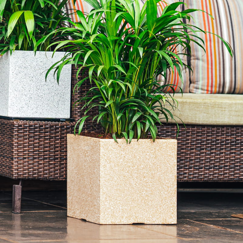 With plant, a medium Cream Stone Quebec Square, a square stone finish plastic planter that looks like granite available at Sukham Home, a sustainable furniture, gardening and home decor store in Kolkata, India