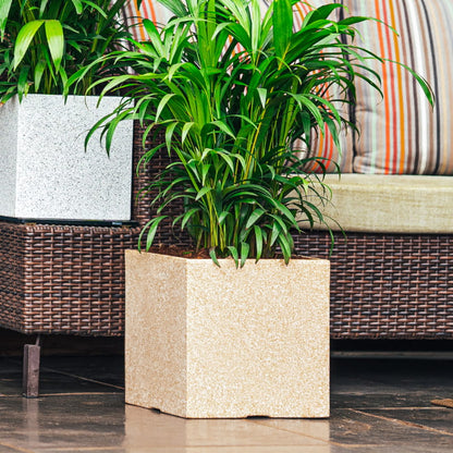 With plant, a medium Cream Stone Quebec Square, a square stone finish plastic planter that looks like granite available at Sukham Home, a sustainable furniture, gardening and home decor store in Kolkata, India