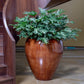 At the foot of the staircase, on the ground floor, the Walnut Wood Regal, a large round textured luxury planter made from FRP you can buy online at Sukham Home, a sustainable furniture, gardening and home decor store in Kolkata, India