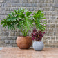 Both sizes and finishes of the Rib Bowl, a round textured luxury planter made from FRP you can buy online at Sukham Home, a sustainable furniture, gardening and home decor store in Kolkata, India