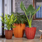 In Teak Wood, Rustic Wood and Walnut Wood finishes, the Rib Vertical XL, a wood finish textured luxury planter made from FRP you can buy online at Sukham Home, a sustainable furniture, gardening and home decor store in Kolkata, India