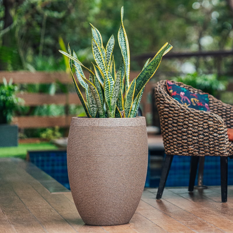 Arranged by the pool, the Sand Stone Milano High, a round tall stone finish plastic planter that looks like granite available at Sukham Home, a sustainable furniture, gardening and home decor store in Kolkata, India