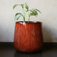 Placed in a corridor, the Walnut Wood Pearl, a round textured luxury planter made from FRP you can buy online at Sukham Home, a sustainable furniture, gardening and home decor store in Kolkata, India