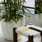 The large White Stone Rib Short, a round textured luxury planter made from FRP you can buy online at Sukham Home, a sustainable furniture, gardening and home decor store in Kolkata, India